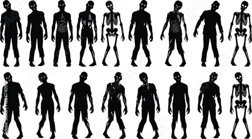 Zombie silhouettes, horror anatomy, undead figures, skeletal illustration, internal organs, creepy posture, stylized design, spooky characters, Halloween concept, eerie collection