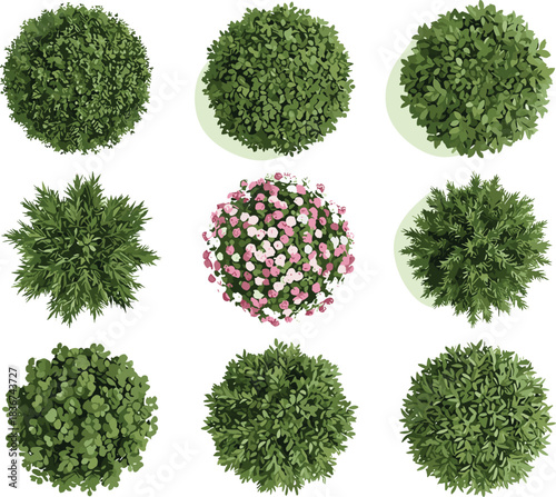 Top-down view of nine stylized bushes and shrubs with varied foliage, leaf shapes, colors, and floral landscaping diversity