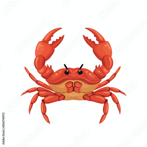 Vibrant Red Crab Illustration