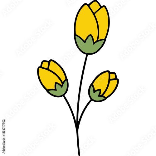 Three Yellow Flower Buds with Green Sepals on a Black Background Simple Illustration Style