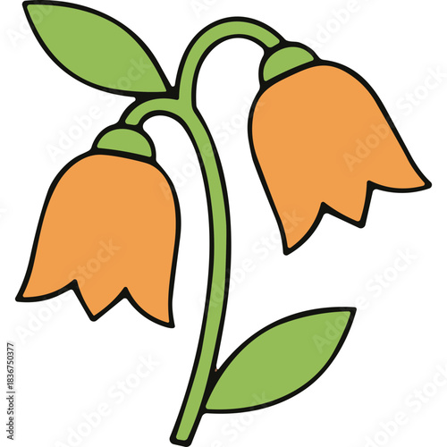 Two Orange Bell Shaped Flowers With Green Stems And Leaves On A Black Background Simple Botanical Illustration With Clean Lines And Bold Outlines