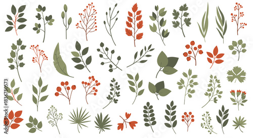 Large collection of hand-drawn botanical elements, including various leaves, branches, and berries in muted green and red autumn colors.
