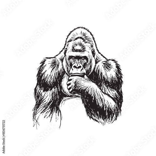 Detailed sketch of a gorilla holding a cup