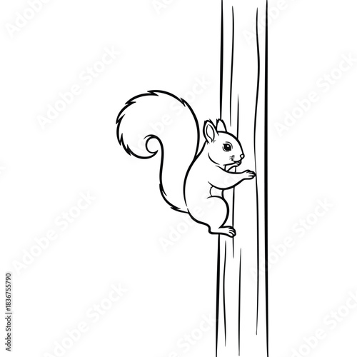 Squirrel Climbing Tree Trunk Line Art
