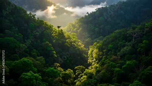 Stunning and immersive image of untouched natural beauty, ideal for promoting sustainable travel, ecotourism, and conservation efforts. High visual impact for website hero images.