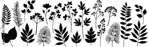 Collection of hand drawn botanical elements featuring various leaf shapes and floral sprigs in black ink