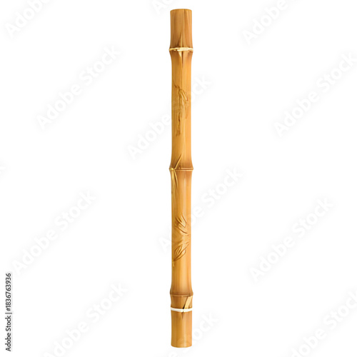 A single vertical bamboo stalk with distinct nodes and segments, isolated on a pure white background