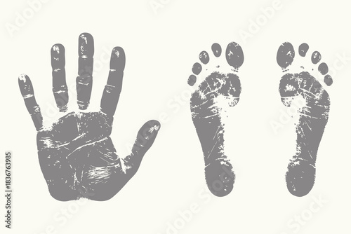 Vintage retro fingerprint marks illustration. human palm and soles, body marks art, fingerprint pattern engraving style. Eps 10