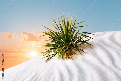 A solitary green cactus stands centered on a crest of white sand dunes under a soft pastel sunset sky with golden sun rays breaking through the clouds creating a warm serene atmosphere