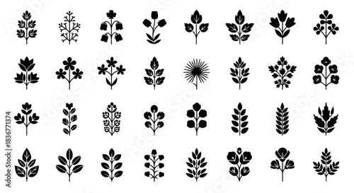 Collection of various leaf and plant illustrations in black and white