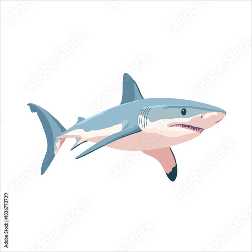 Ocean predator,  powerful shark