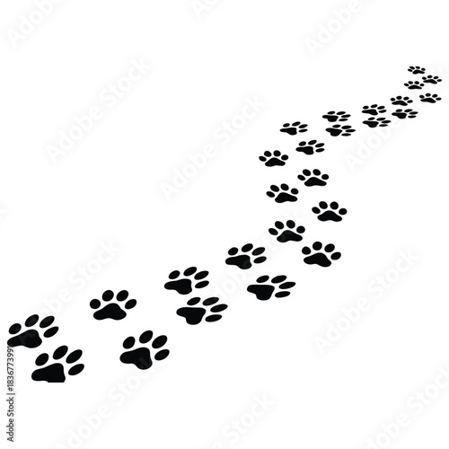 Charming trail of black paw prints winding across a clean white background