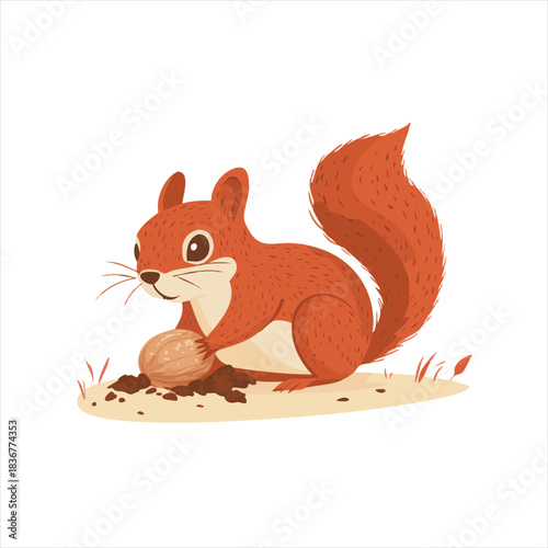 Cute squirrel eating a nut