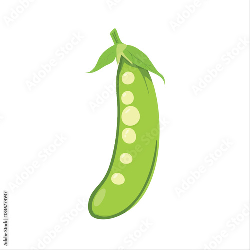 Green pea pod, illustration