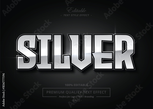 Elegant silver metal text effect with realistic lighting and reflections. Perfect for branding, game titles, posters, and premium visuals. Fully editable vector format.