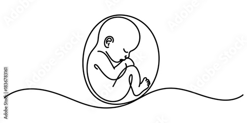 Minimalist continuous line art illustration of a human fetus inside the womb, representing prenatal development, new life, pregnancy. Vector, illustration