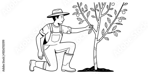 Farmer or gardener pruning a small fruit tree, line art illustration isolated on continuous one line art of vector illustration