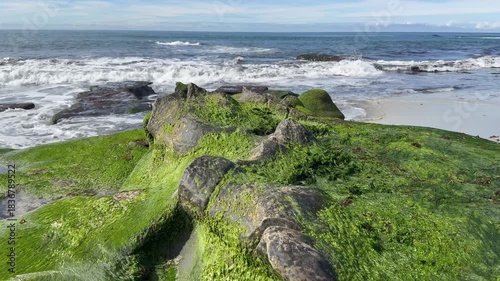 Ocean Waves Crashing Against Moss-Covered Rocks