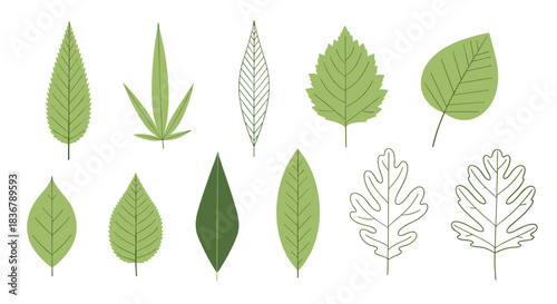 Collection of various types of green leaves, including different shapes and styles like flat color and simple line art.
