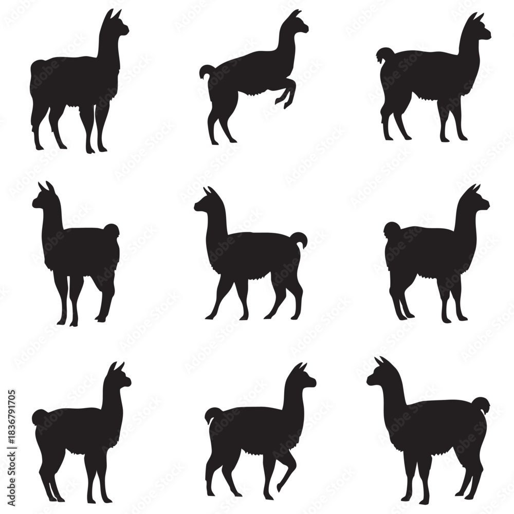 Obraz premium Collection of nine black llama silhouette icons isolated on white background