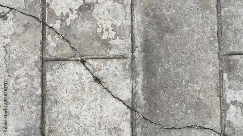 Zoom out cracks on the cement surface. Top view
