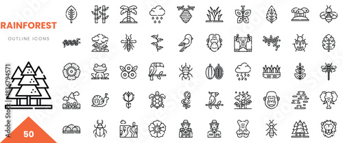A collection of detailed outline icons representing various rainforest elements and wildlife.