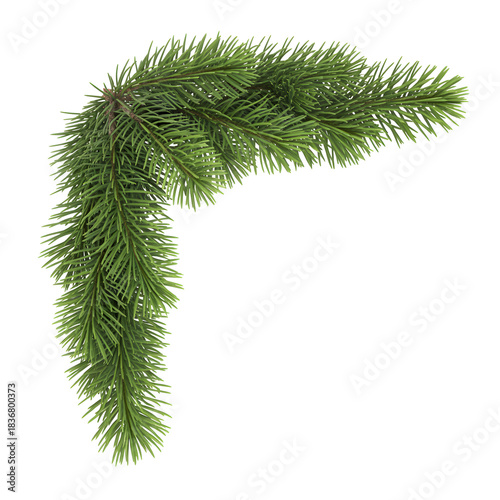Green pine branch corner decoration for festive holidays and winter decor