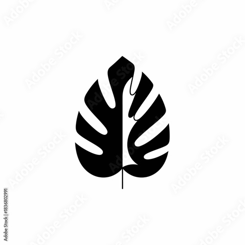 Black silhouette of a monstera deliciosa leaf with its characteristic splits and holes, on a white background, representing tropical nature.