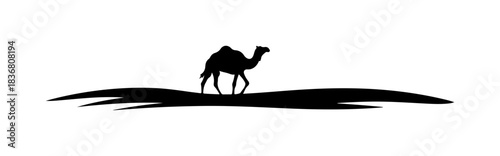 Silhouette camel in desert sand