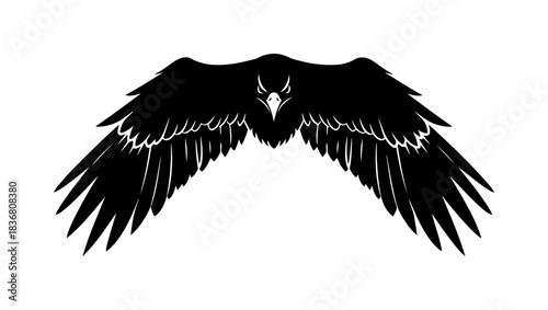 Raven wings spread wide open