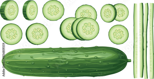 Whole and Sliced Cucumber Set with Cross Sections and Long Strips Fresh Green Vegetable Illustration