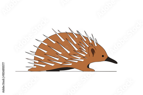 Illustration of a porcupine with sharp quills