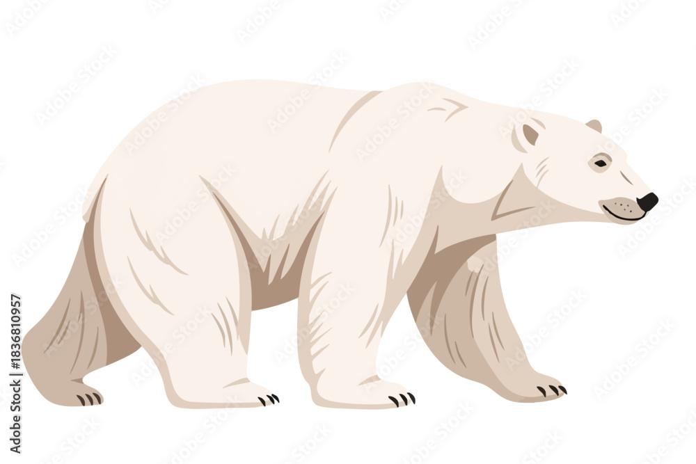 Fototapeta premium White Bear Illustration on White Background