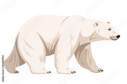 White Bear Illustration on White Background