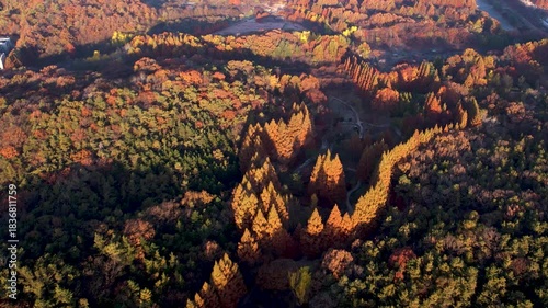 하늘에서 본 아름다운 가을 숲 풍경