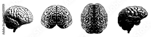 Set Black and White Silhouette human brain vector for psychology and education concepts. Symbolizes intelligence, thought, and simplified mental processes.