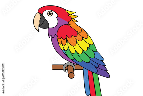Colorful Parrot Illustration