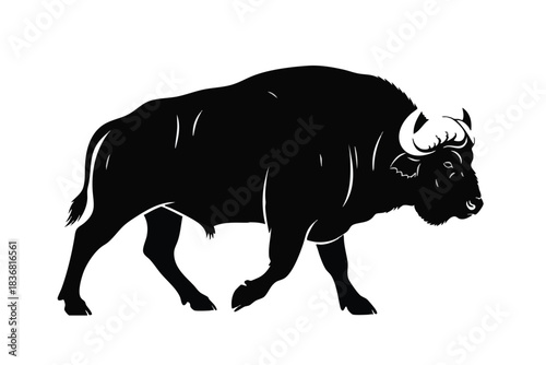 Black Bull Silhouette Illustration
