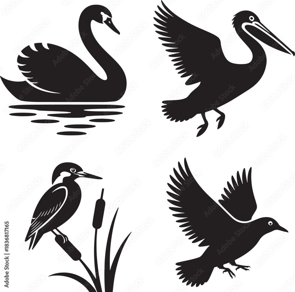 Obraz premium Set of waterfowl bird black silhouettes swan pelican kingfisher and flying dove