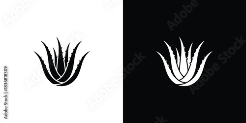 Stylized black and white aloe vera plant icons with spiky leaves for health and beauty