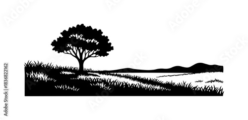 Silhouette of tree by lakeside view