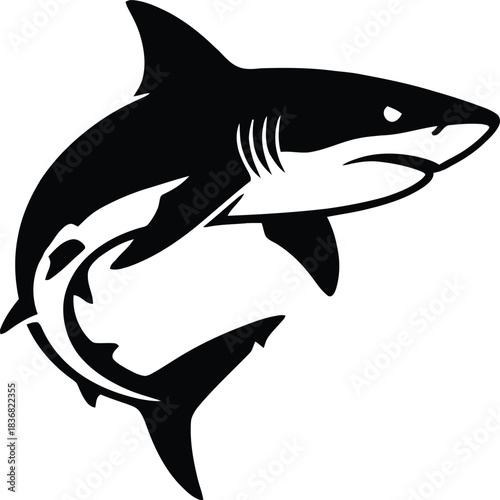 Shark Silhouette Vector Illustration