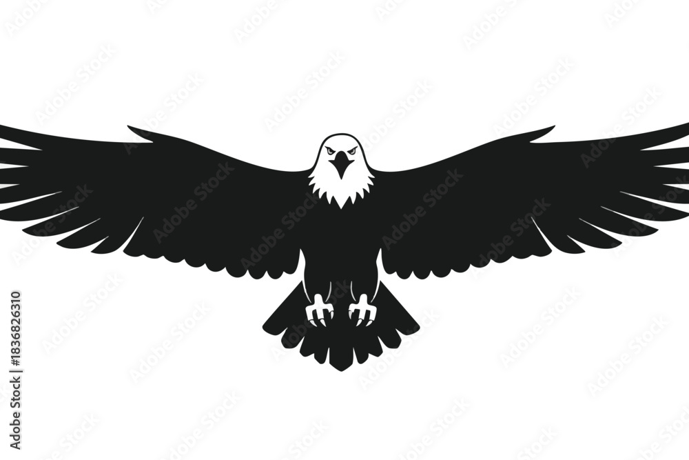 Fototapeta premium Silhouette of an Eagle in Flight