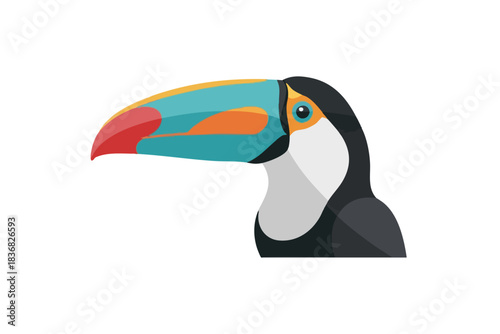 Colorful Toucan Bird Vector Illustration