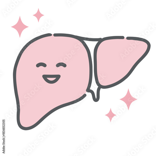 健康で元気な肝臓のキャラクターイラスト（正常・内臓）