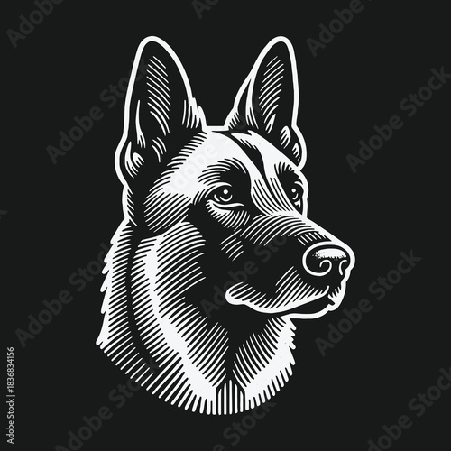 German Shepherd dog head portrait in a classic engraving style.