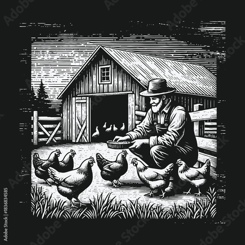 Old fashioned farmer in a hat feeding chickens by a rustic barn.