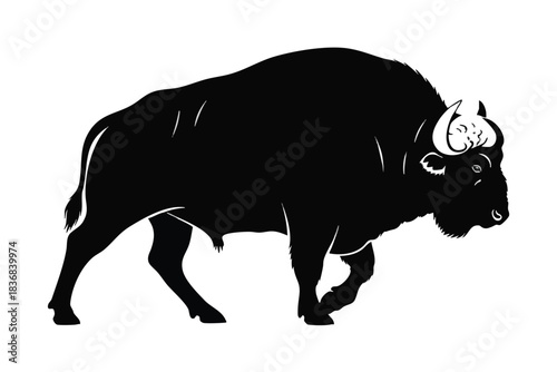 Silhouette of a Powerful Bull
