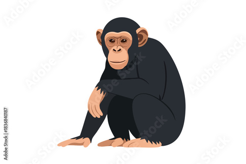 Sad Primate Illustration