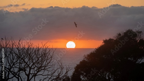Sunrise Eagle